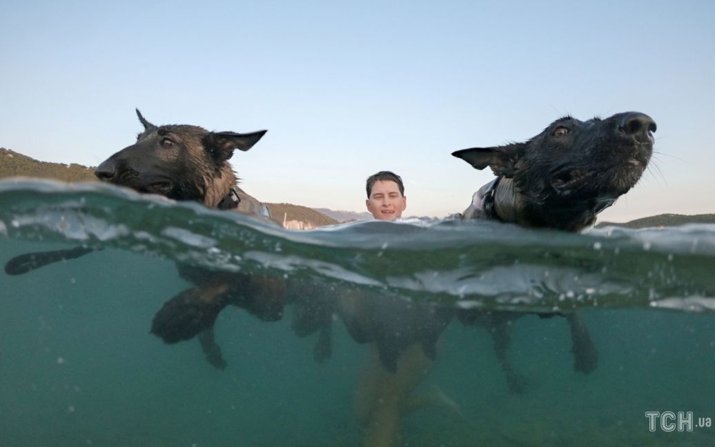 Змагання з плавання для собак та господарів у Хорватії / © Reuters