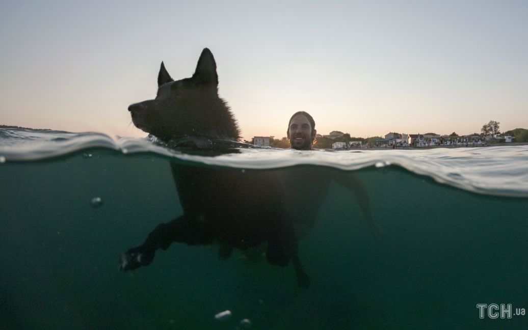 Змагання з плавання для собак та господарів у Хорватії / © Reuters