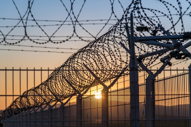 Яйца для ВСУ по 17 грн: фигуранты коррупционной схемы вышли из-под стражи