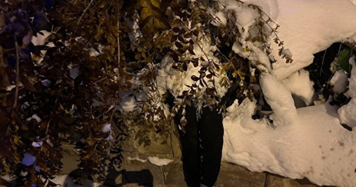 Женщина перепутала снеговика с трупом / Фото: УeniSafak