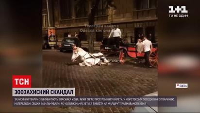 Новини України: в Одесі зоозахисники звинувачують власника коня у жорстокому поводженні з твариною