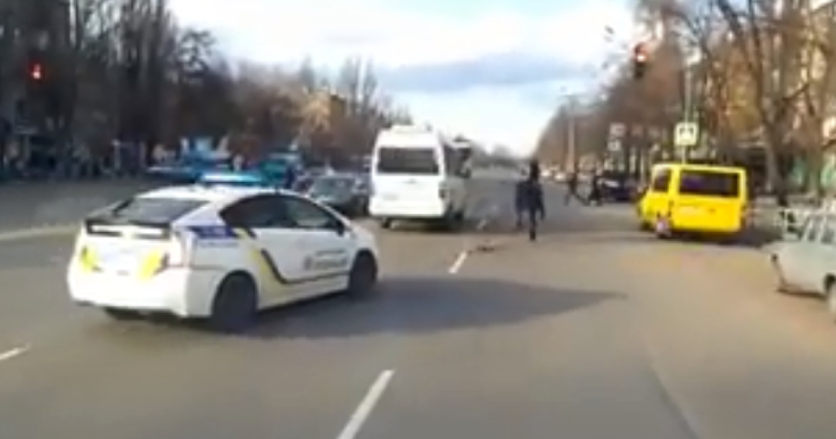 У Кривому Розі зняли, як патрульні переслідували коня