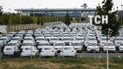 Фермери Мексики стверджують, що Volkswagen знищив дві тисячі гектарів угідь