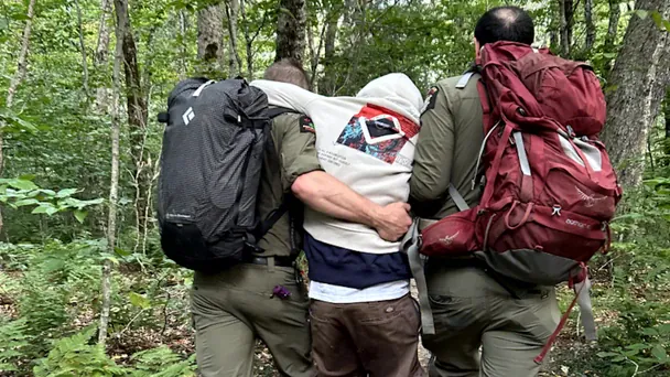 Рейнджерам парку повідомили, що четверо туристів заблукали після того, як з'їли гриби, і що один з них «відчув виснажливий стан сп'яніння». Фото: Департамент охорони навколишнього середовища Нью-Йорка
