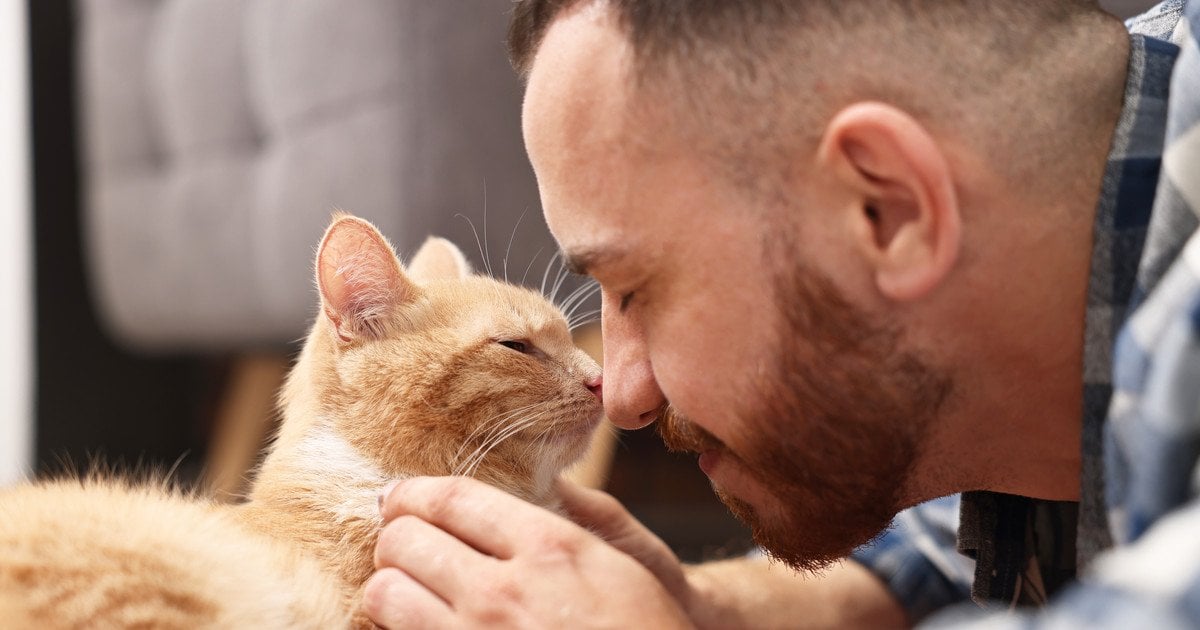 Кіт і чоловік
