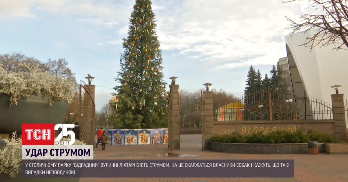 Небезпечні ліхтарні стовпи: в одному зі столичних парків собаку ледь не вбило струмом