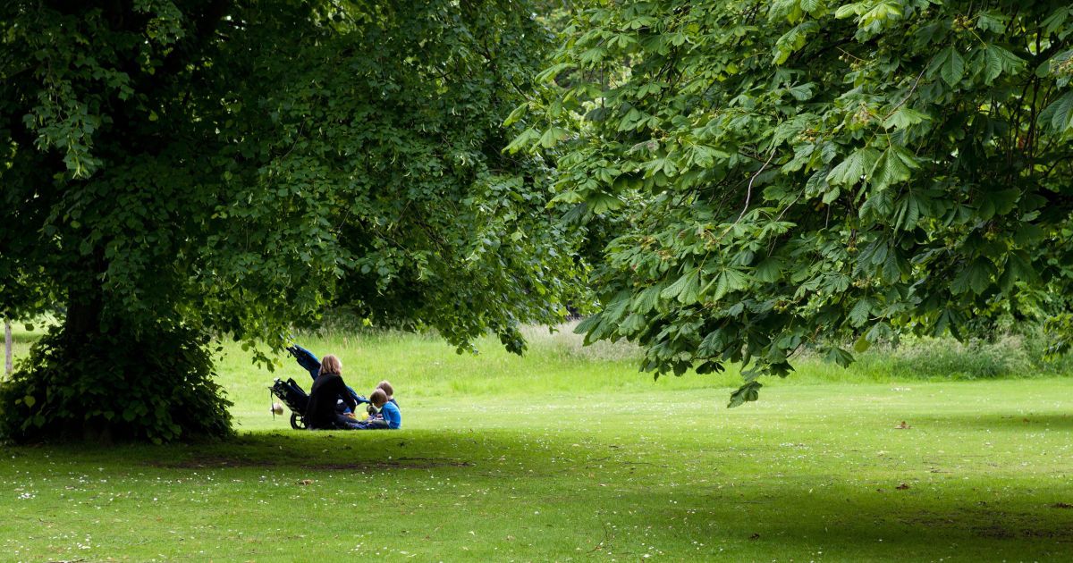 В Україні стає спекотно: стовпчики термометрів піднімуться до 28°C