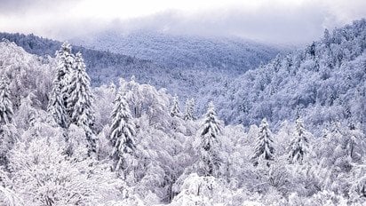 Зимовий пейзаж