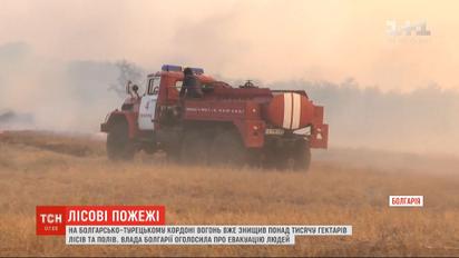 Рубеж в огне: на границе Болгарии и Турции не утихают лесные пожары