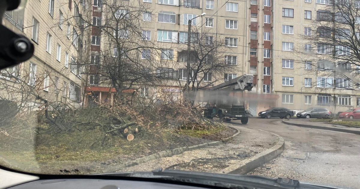 Поваленные деревья, билборды и фасады: во Львове свирепствует непогода (фото, видео)