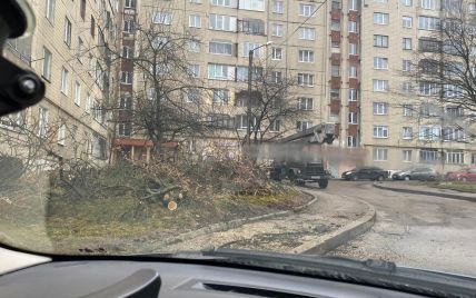 Поваленные деревья, билборды и фасады: во Львове свирепствует непогода (фото, видео)