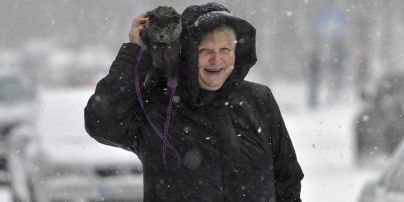Жарти юзерів про потужний снігопад в Україні та зимовий ролик з унікальним оленем-альбіносом. Тренди Мережі