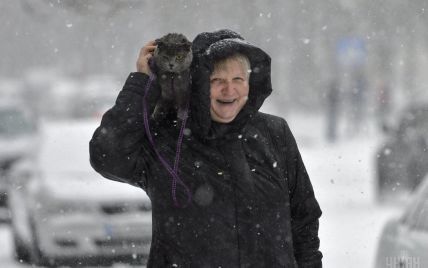 Жарти юзерів про потужний снігопад в Україні та зимовий ролик з унікальним оленем-альбіносом. Тренди Мережі