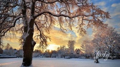 Гороскоп на 27 декабря