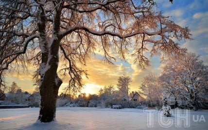 Гороскоп на 26 грудня для всіх знаків зодіаку: день, коли пасивність перебуває під забороною