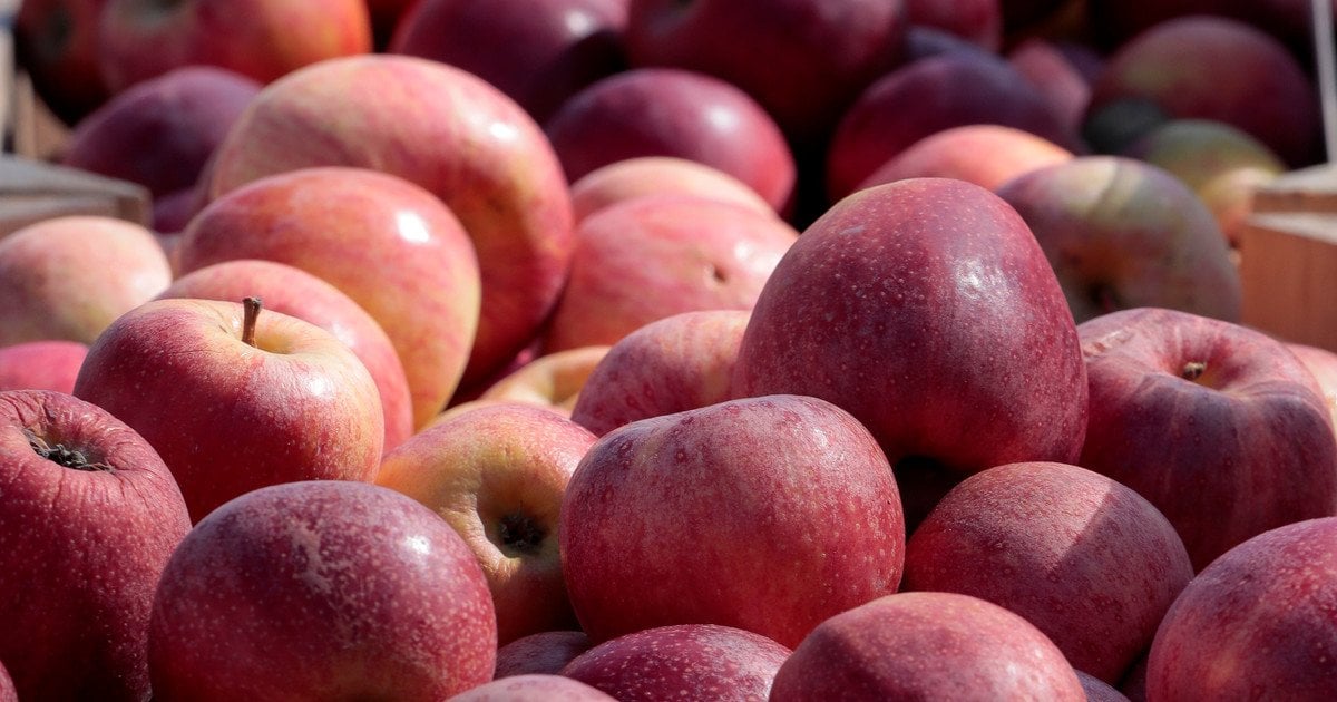 14 Лучших Продуктов для Мощной Защиты от Свободных Радикалов: Антиоксиданты для Здоровья и Долголетия