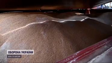 Зерновой вопрос: станет ли Турция гарантом безопасности Украины и площадкой для переговоров с РФ