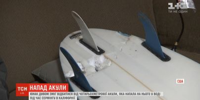 Каліфорнійському юнаку вдалося відбитися від чотириметрової акули