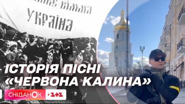 Песня, вдохновляющая украинцев сквозь века: как с годами менялась известная "Червона калина"