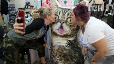 Котики, кішки_6 / © Reuters