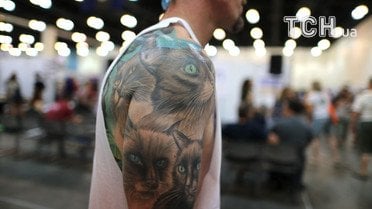 Котики, кішки_7 / © Reuters