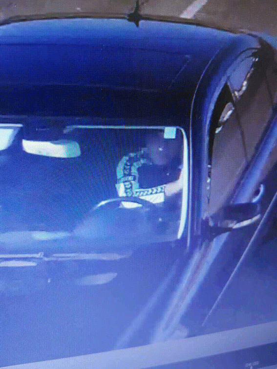 Авто, в которых были грабители / © ГУ НП в Одесской области