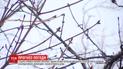 Синоптики прогнозують, що найближчий тиждень буде теплим, однак дуже вітряним