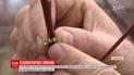 Аграрии перестраиваются на выращивание несвойственных для Украины культур