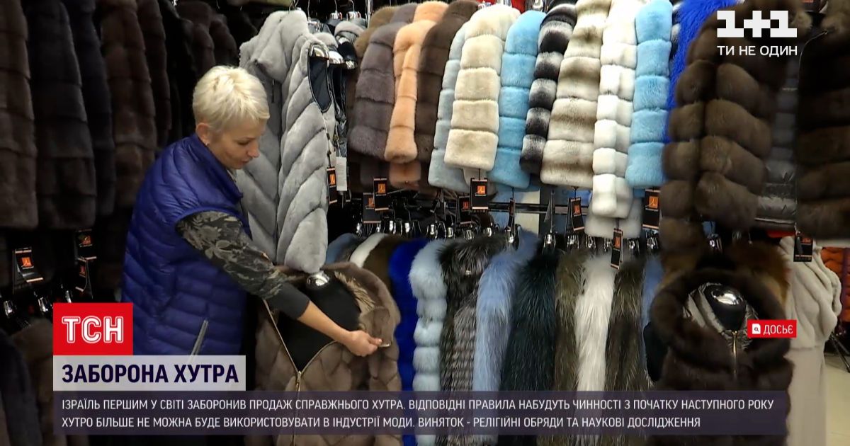 Новости мира: Израиль стал первой страной в мире, где запретили продажу натурального меха