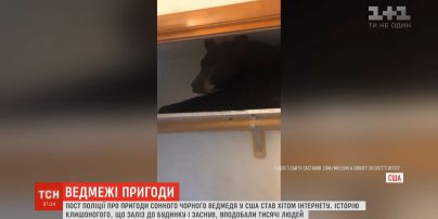 Чорний ведмідь пробрався до чужого будинку і заснув у шафі