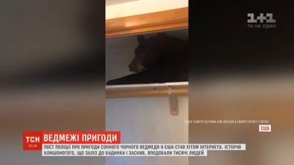 Чорний ведмідь пробрався до чужого будинку і заснув у шафі