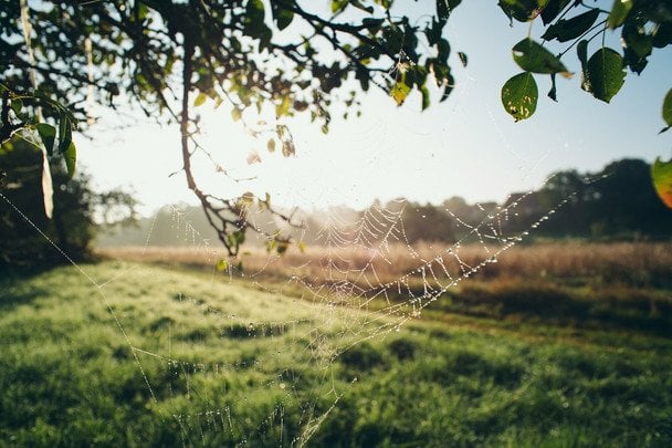 Народні прикмети 9 вересня / © unsplash.com
