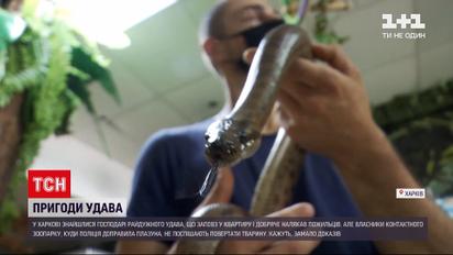 Новини України: патрульні передали харківського пітона-втікача до приватного контактного зоопарку