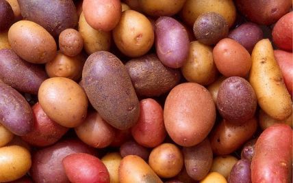 "Красная цена": почему не уродила картошка и когда ждать подорожания