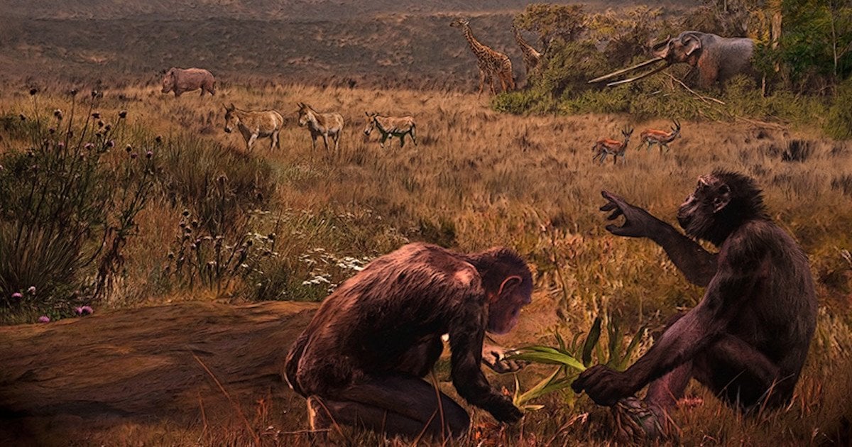 Graecopithecus freybergi . Художнє уявлення: Велізар Сімеоновський