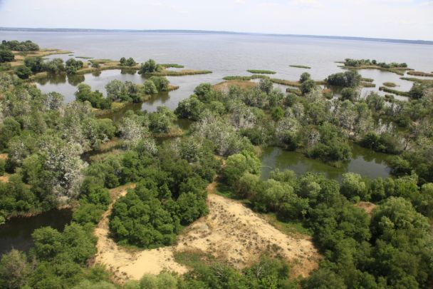 До створення Каховського водосховища ця місцевість була посередині Великого Лугу / фото НПП "Великий луг", автор Віктор Бусел
