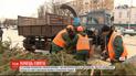 У Києві демонтували ялинку і підрахували скільки під нею з'їли тонн мяса