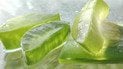 Як приготувати домашній крем для обличчя з алое вера