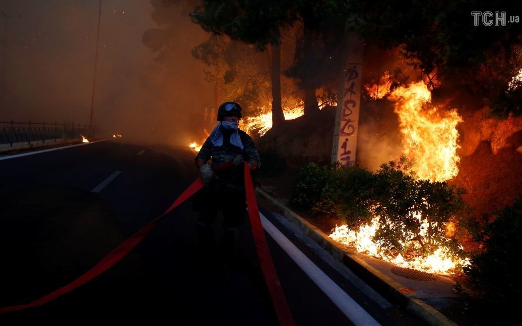 Руйнівні лісові пожежі у Греції / © Reuters