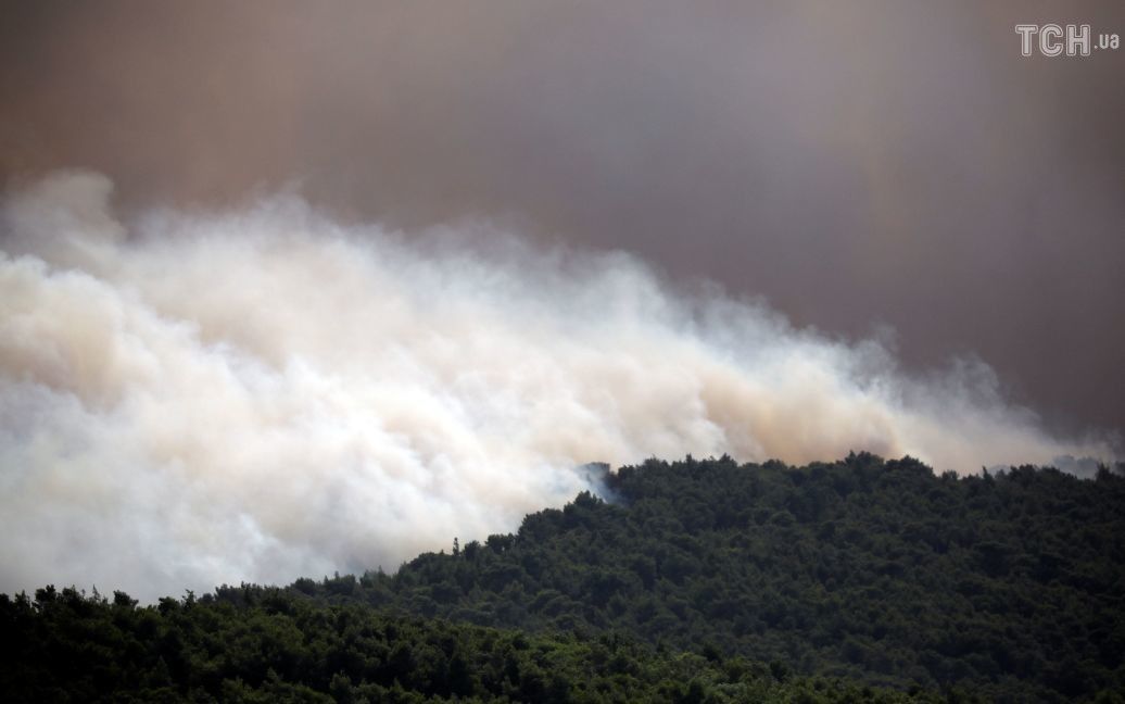 Лісові пожежі у Греції / © Reuters