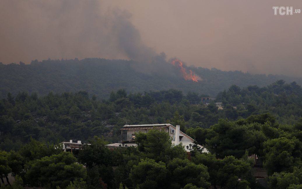 Лесные пожары в Греции / © Reuters