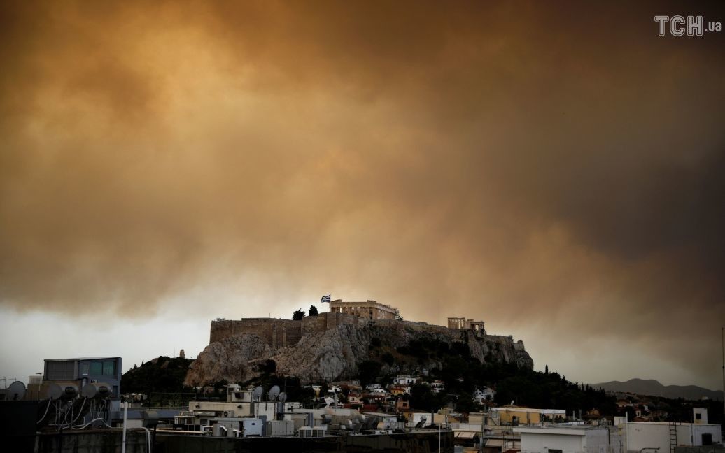 Лесные пожары в Греции / © Reuters