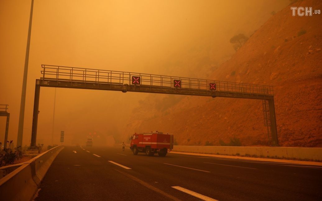Лісові пожежі у Греції / © Reuters