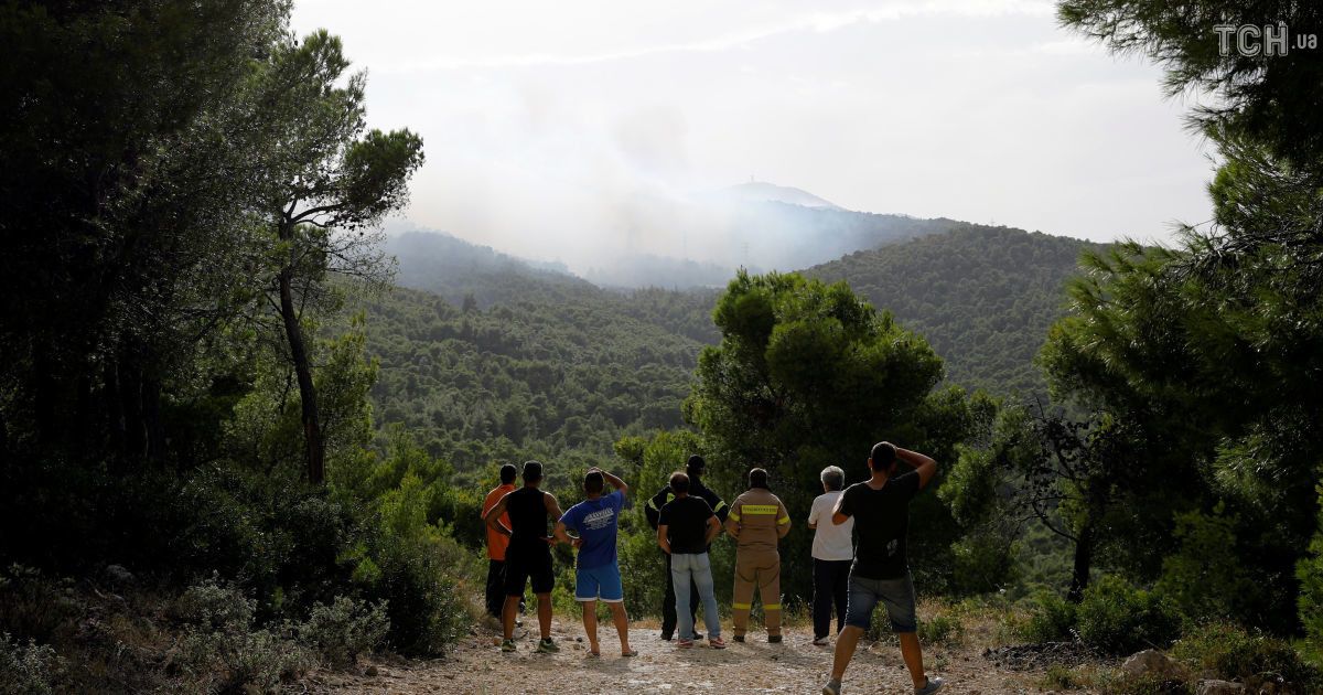 Лесные пожары в Греции / © Reuters