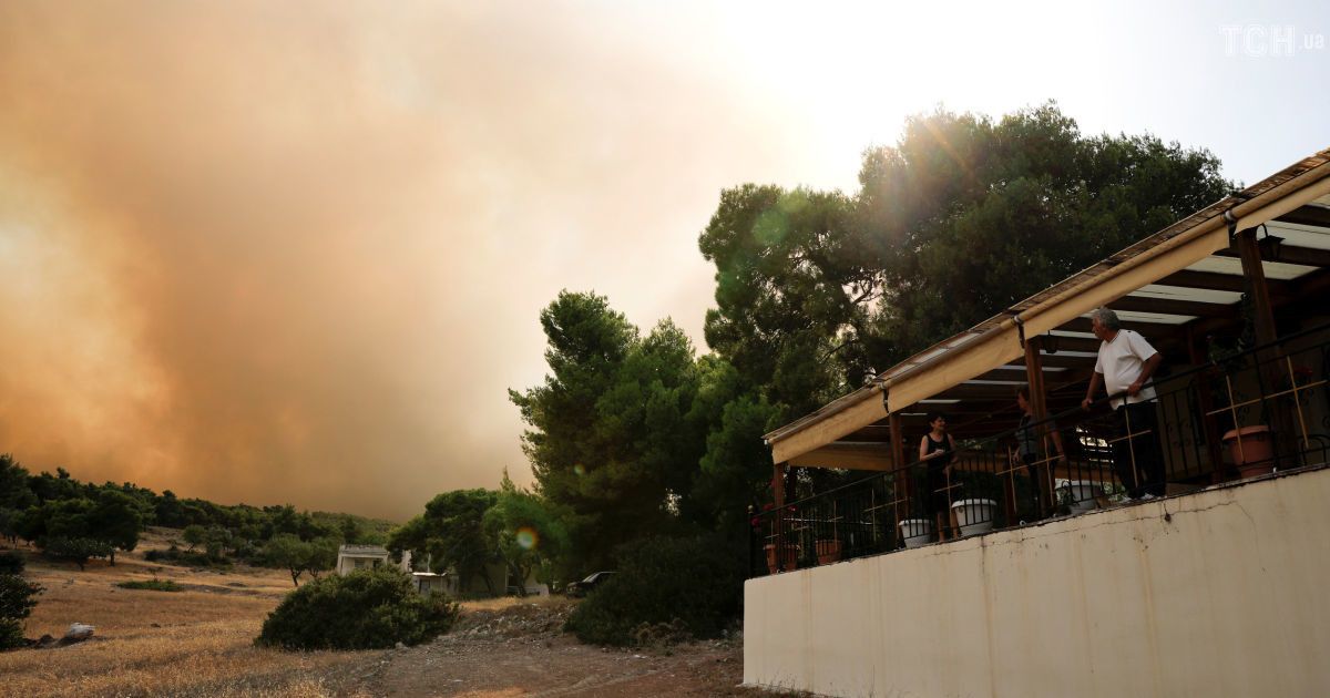 Лесные пожары в Греции / © Reuters