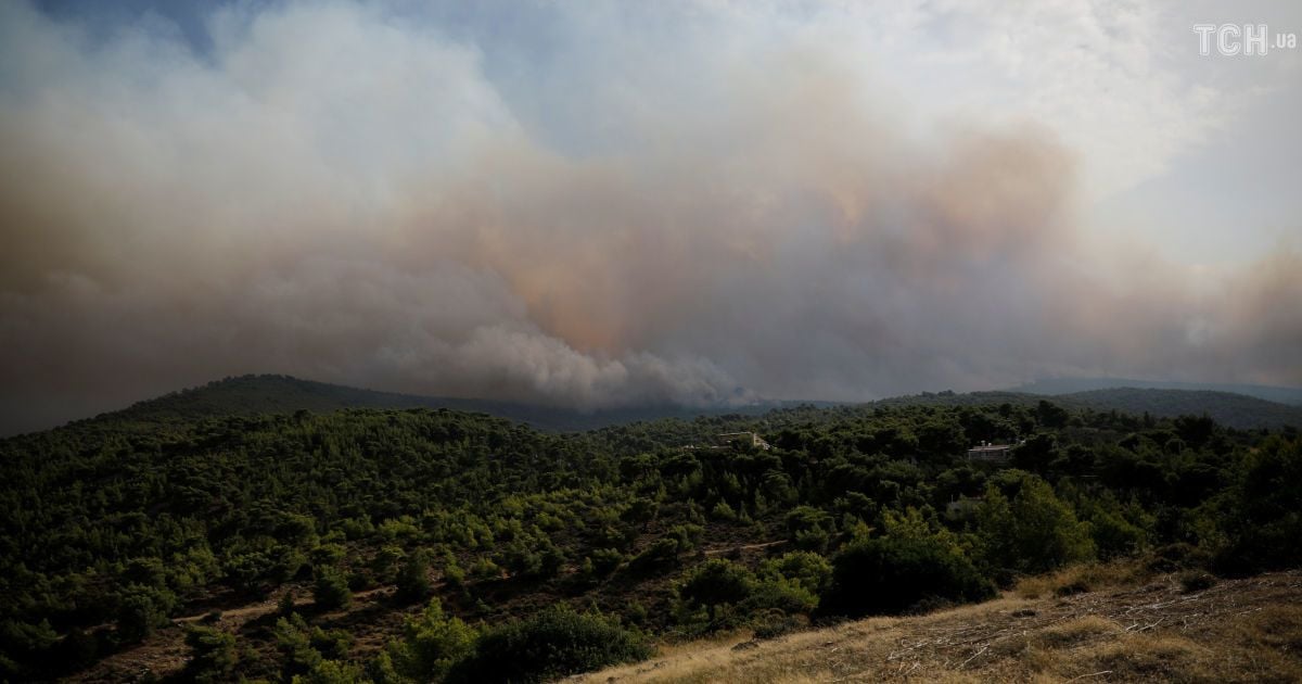 Лесные пожары в Греции / © Reuters