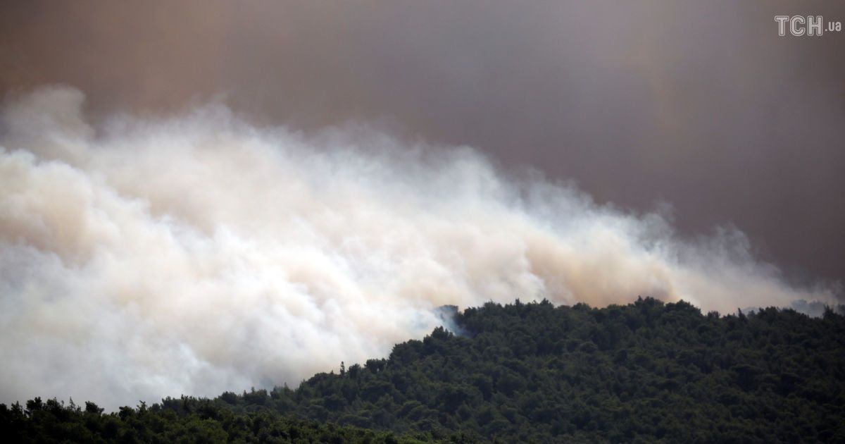 Лесные пожары в Греции / © Reuters