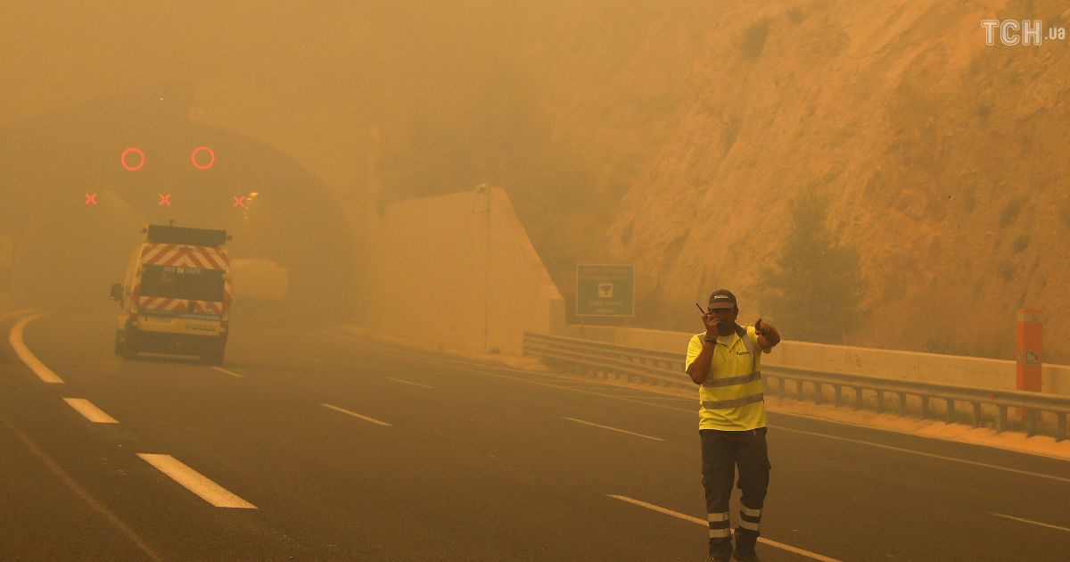 Лесные пожары в Греции / © Reuters