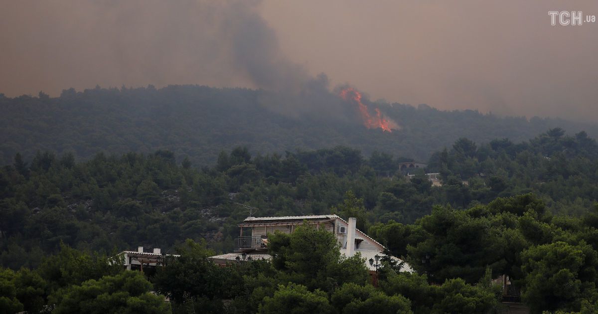 Лесные пожары в Греции / © Reuters