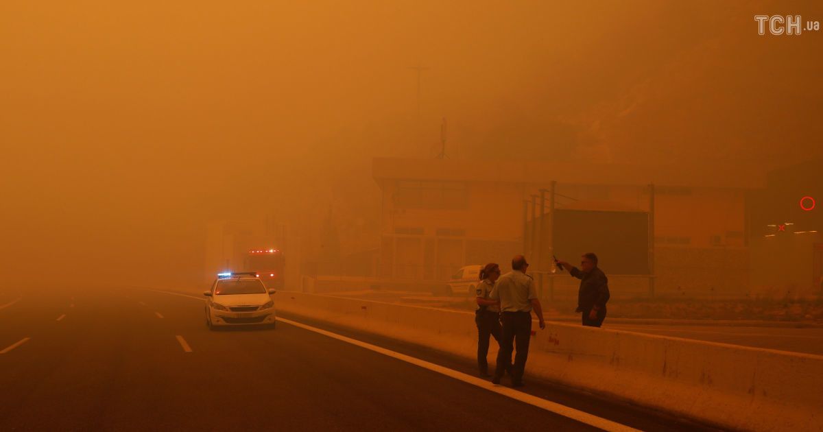 Лесные пожары в Греции / © Reuters